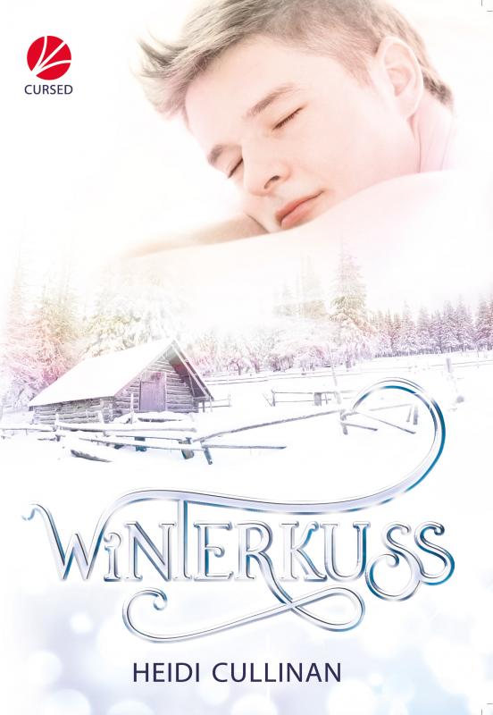 Cover-Bild Winterkuss