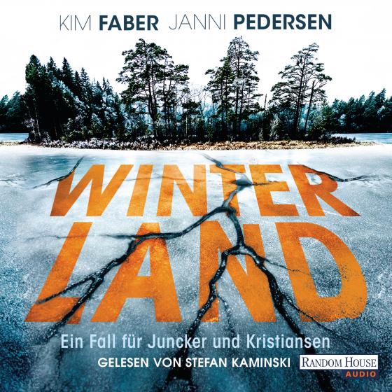 Cover-Bild Winterland