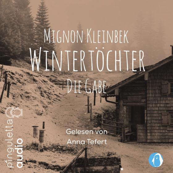 Cover-Bild Wintertöchter