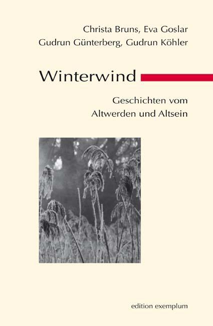 Cover-Bild Winterwind