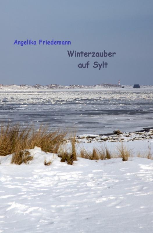 Cover-Bild Winterzauber auf Sylt