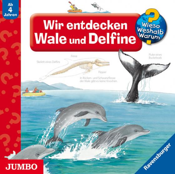 Cover-Bild Wir entdecken Wale und Delfine