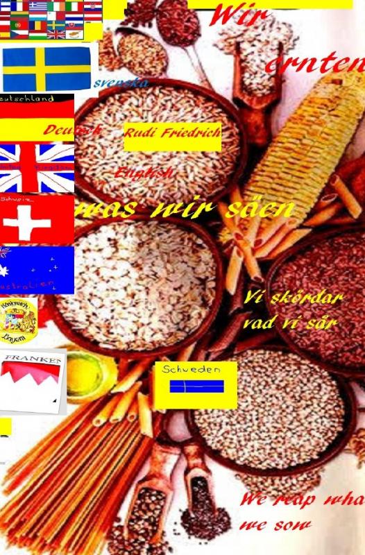 Cover-Bild Wir ernten was wir säen German Swedish We reap what we sow tysk English