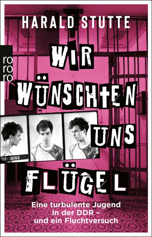 Cover-Bild Wir wünschten uns Flügel