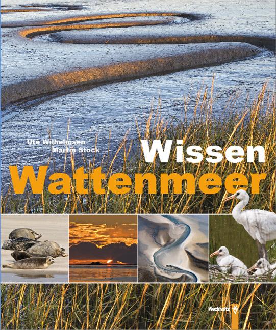 Cover-Bild Wissen Wattenmeer