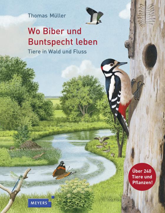 Cover-Bild Wo Biber und Buntspecht leben
