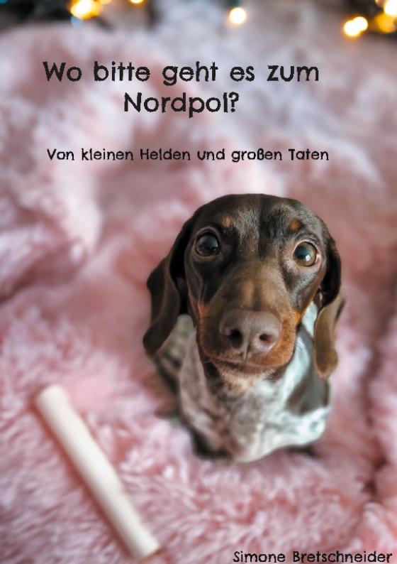 Cover-Bild Wo bitte geht es zum Nordpol?