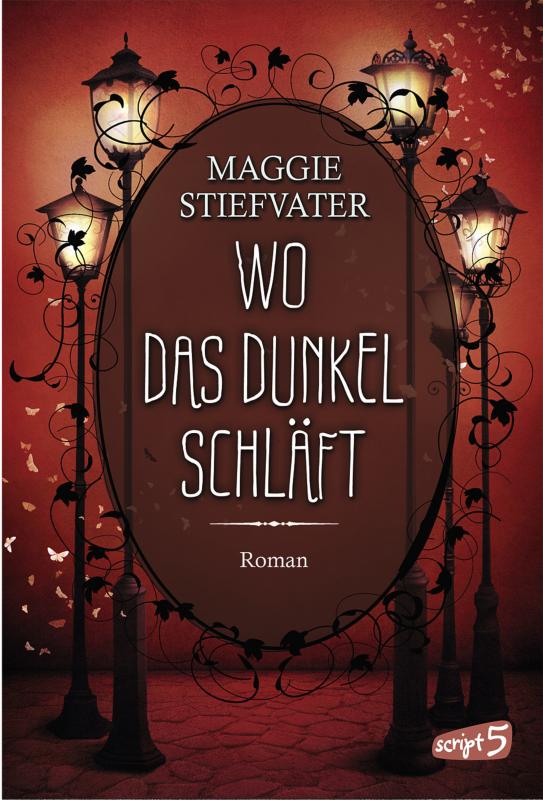 Cover-Bild Wo das Dunkel schläft