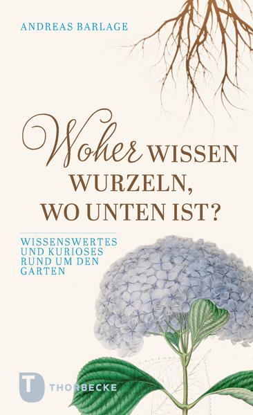 Cover-Bild Woher wissen Wurzeln, wo unten ist?