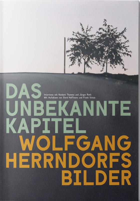 Cover-Bild Wolfgang Herrndorfs Bilder