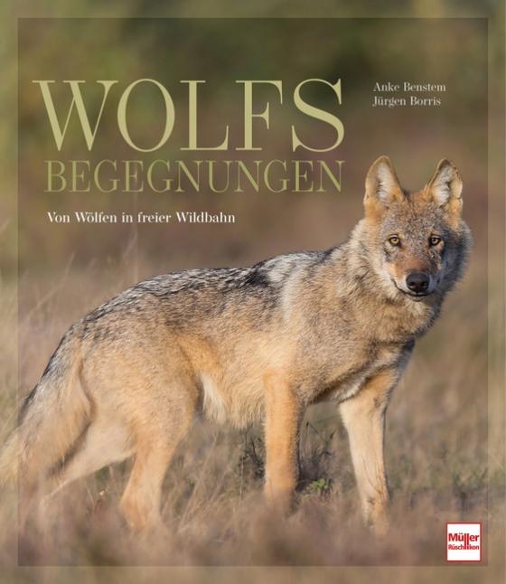 Cover-Bild Wolfsbegegnungen
