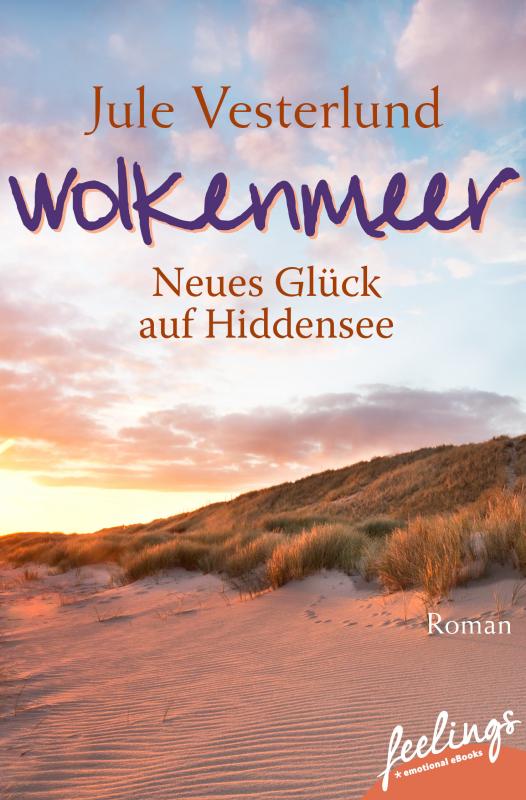 Cover-Bild Wolkenmeer - Neues Glück auf Hiddensee