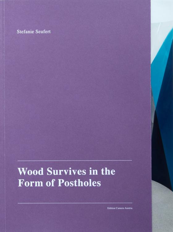 Cover-Bild Wood Survives in the Form of Postholes
