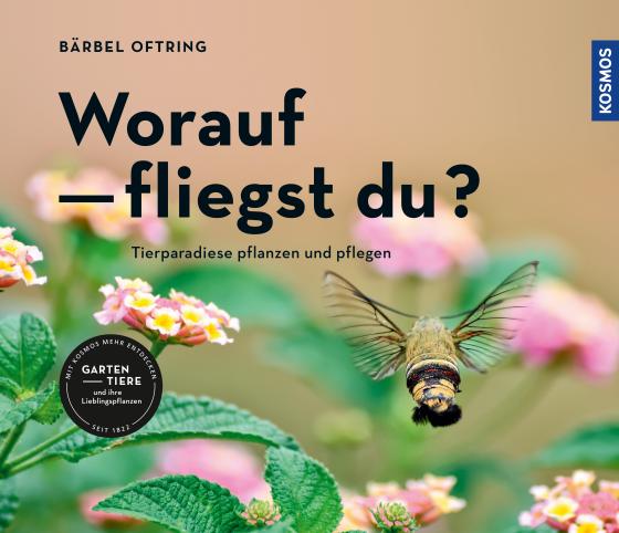 Cover-Bild Worauf fliegst du?