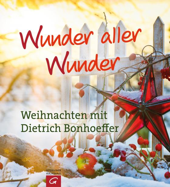 Cover-Bild Wunder aller Wunder