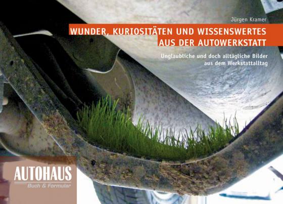 Cover-Bild Wunder, Kuriositäten und Wissenswertes aus der Autowerkstatt