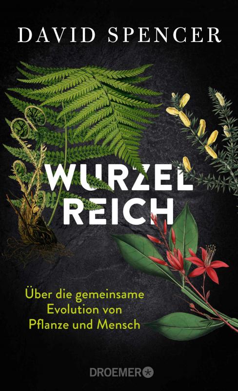 Cover-Bild Wurzelreich