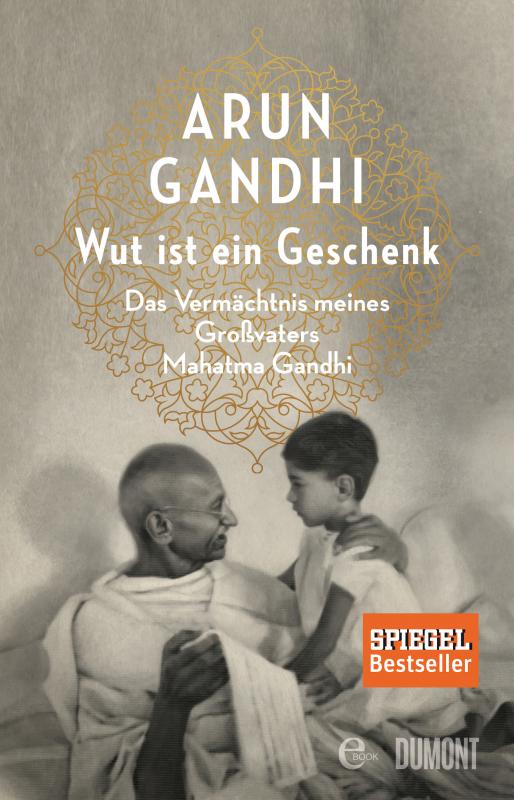 Cover-Bild Wut ist ein Geschenk