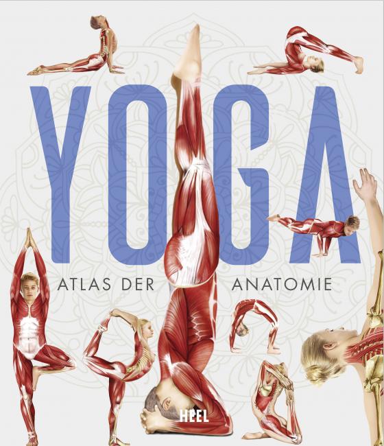 Cover-Bild YOGA - Atlas der Anatomie