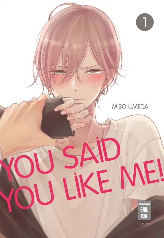 Cover-Bild You Said You Like Me! 01