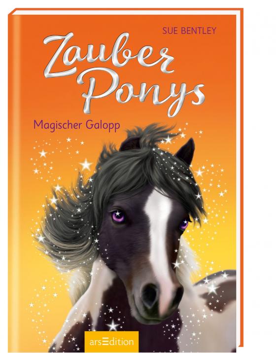 Cover-Bild Zauberponys – Magischer Galopp