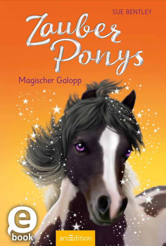 Cover-Bild Zauberponys – Magischer Galopp