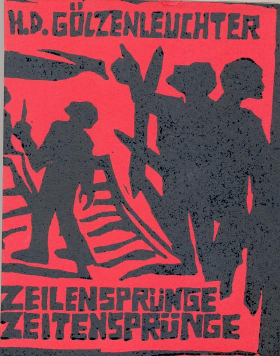 Cover-Bild Zeilensprünge Zeitensprünge