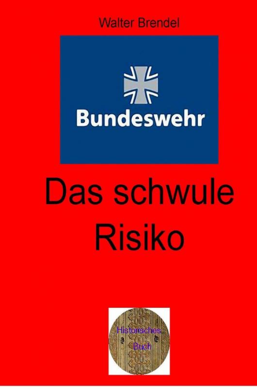 Cover-Bild Zeitgeschichte / Das schwule Risiko