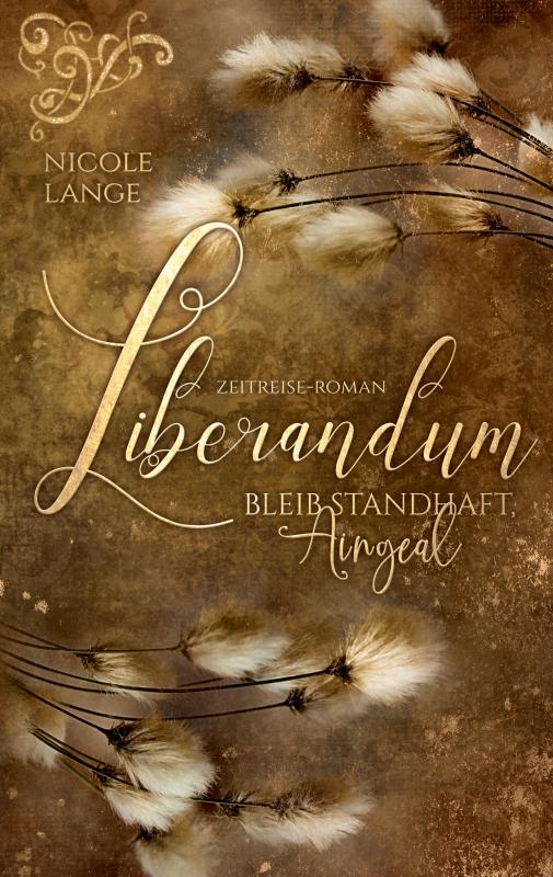 Cover-Bild Zeitreise Liebesroman: Liberandum