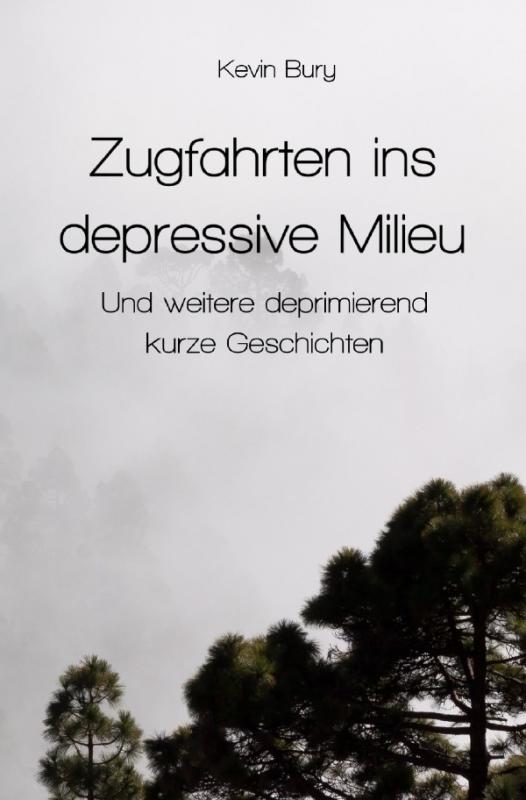 Cover-Bild Zugfahrten ins depressive Milieu