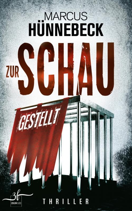 Cover-Bild Zur Schau gestellt