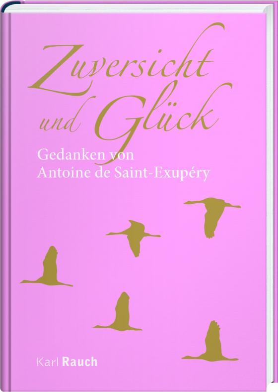 Cover-Bild Zuversicht und Glück - Gedanken von Antoine de Saint-Exupéry