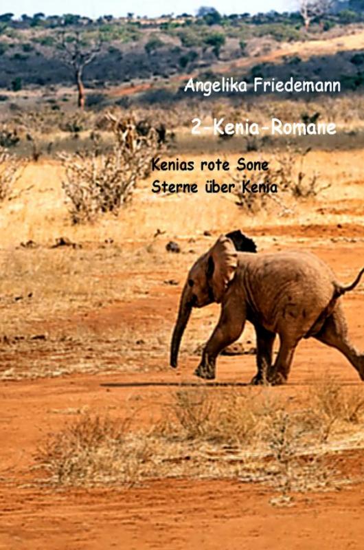 Cover-Bild Zwei Kenia-Romane