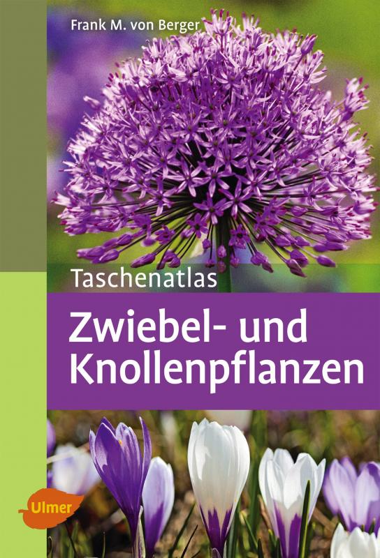 Cover-Bild Zwiebel- und Knollenpflanzen