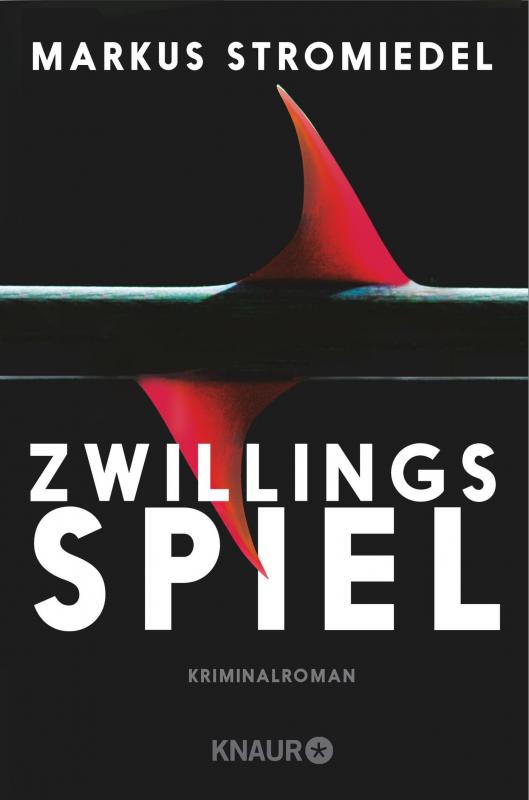 Cover-Bild Zwillingsspiel