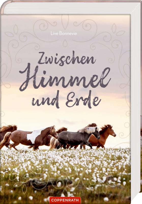 Cover-Bild Zwischen Himmel und Erde (Neuauflage)