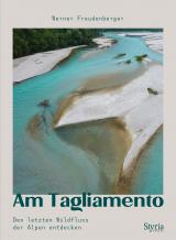 Cover-Bild Am Tagliamento