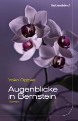 Cover-Bild Augenblicke in Bernstein