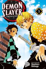 Cover-Bild Demon Slayer 3