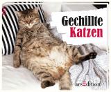 Cover-Bild Gechillte Katzen