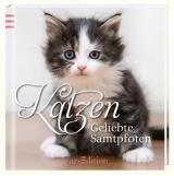 Cover-Bild Katzen