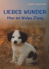 Cover-Bild Liebes Wunder