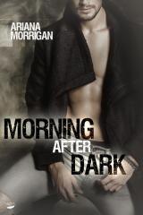 Cover-Bild Morning After Dark