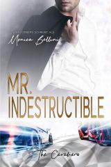 Cover-Bild Mr. Indestructible
