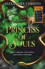 Cover-Bild Princess of Souls