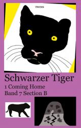 Cover-Bild Schwarzer Tiger 1 Coming Home