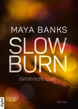 Cover-Bild Slow Burn - Gefährliche Lust