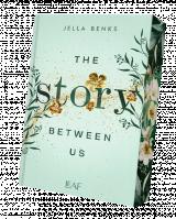 Cover-Bild The Story Between Us