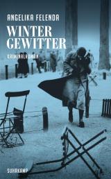 Cover-Bild Wintergewitter